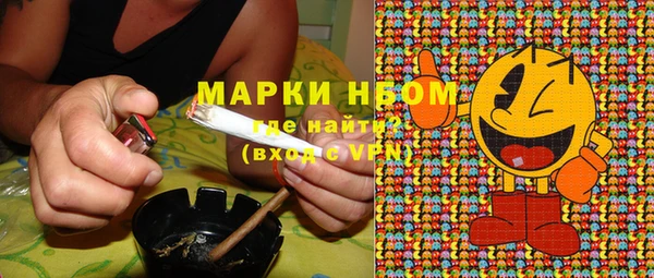 гидропоника Белокуриха