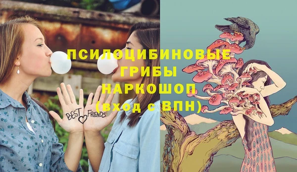 гидропоника Белокуриха