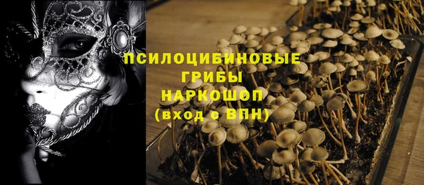 гидропоника Белокуриха