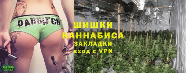гидропоника Белокуриха