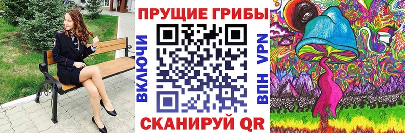 закладки  OMG ссылки  Псилоцибиновые грибы Psilocybine cubensis  Верхотурье 