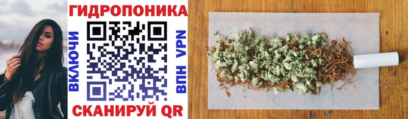 МАРИХУАНА ГИДРОПОН Верхотурье