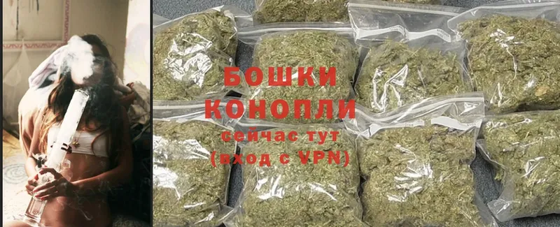 Бошки марихуана OG Kush  Верхотурье 